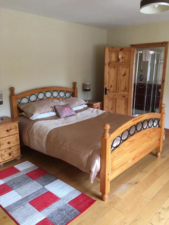 Camino House Bed & Breakfast Tralee Dış mekan fotoğraf