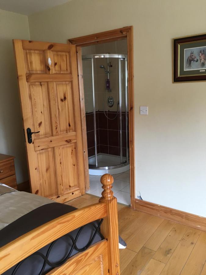 Camino House Bed & Breakfast Tralee Dış mekan fotoğraf